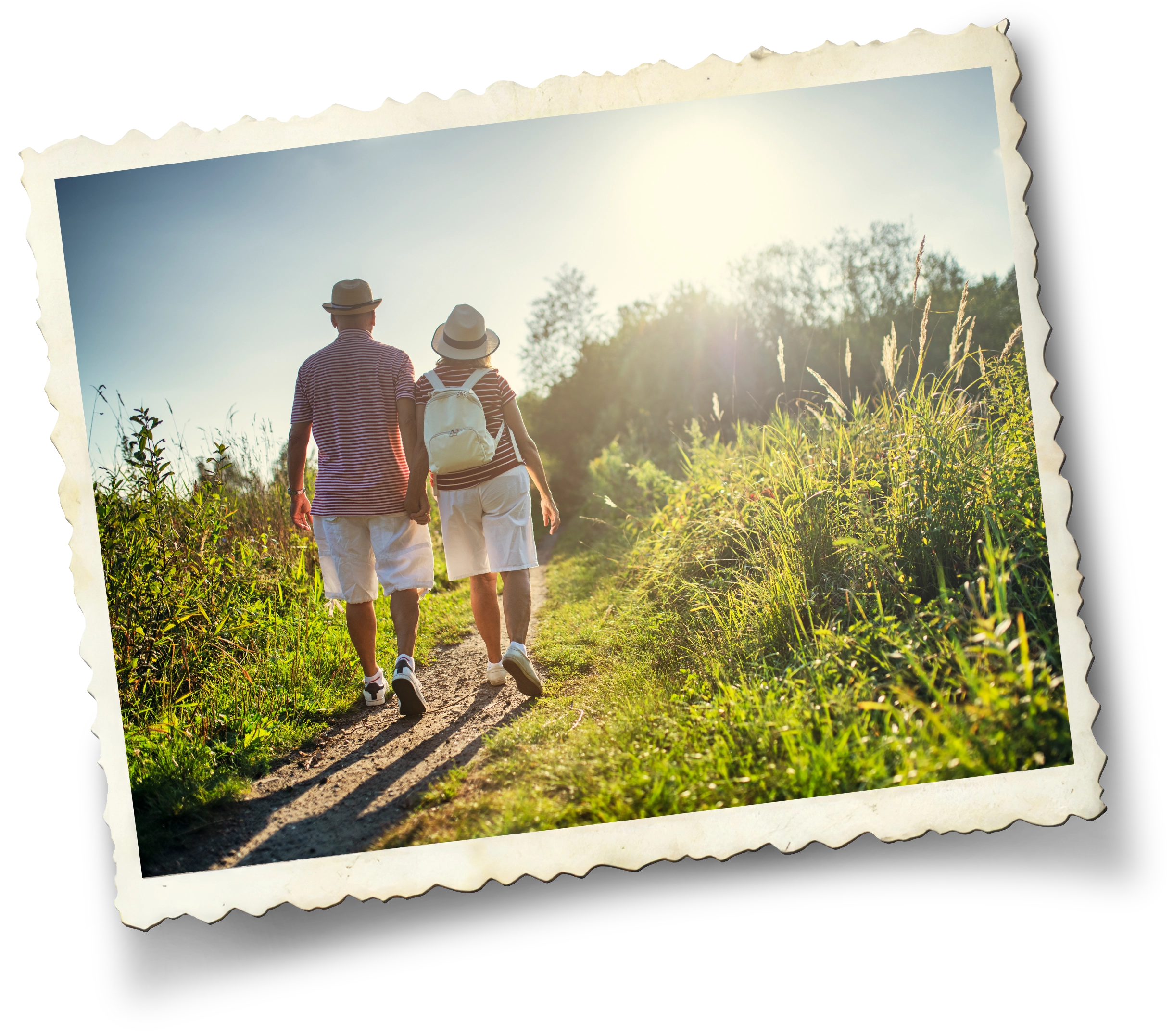 Walking trails