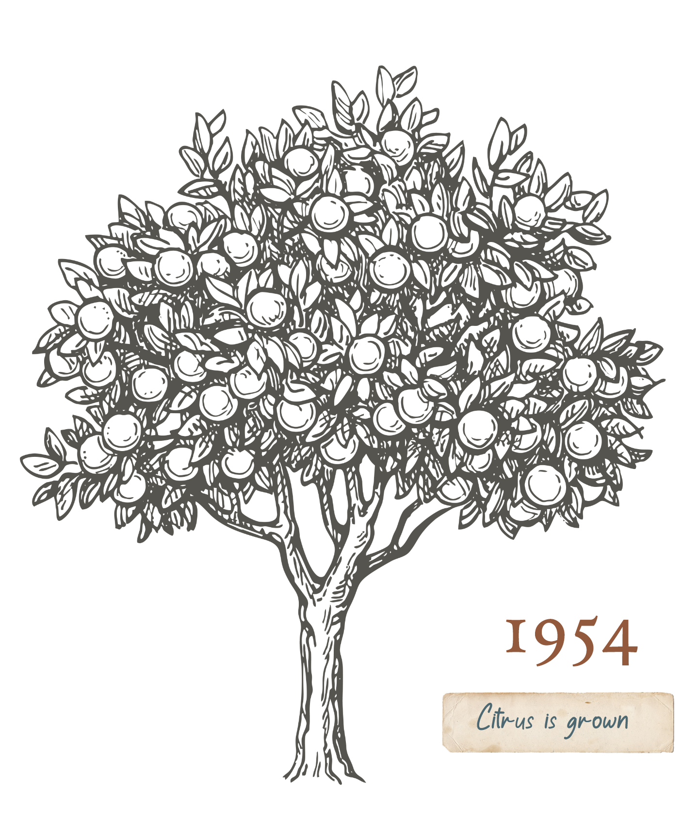1954 (2)