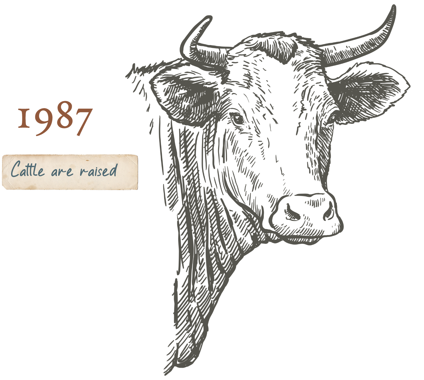 1987