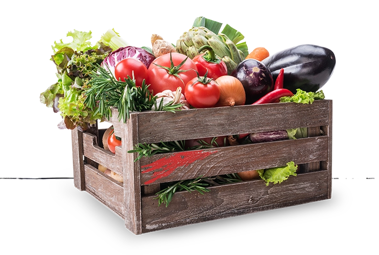 Veggie box with line