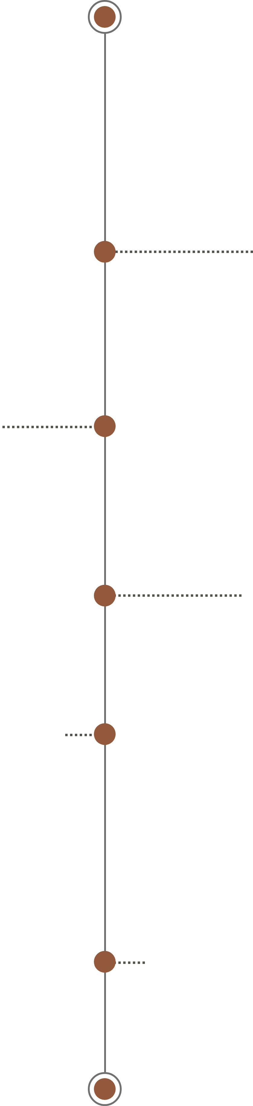timeline
